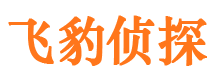 青海市私家侦探